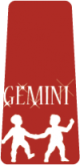 Basic Gemini