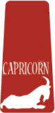 Basic Capricorn