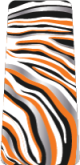 Zebra Print